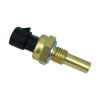 CVP, cylinder head temperature sensor 02-13 V-Rod (NU)