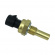 CVP, cylinder head temperature sensor 02-13 V-Rod (NU)